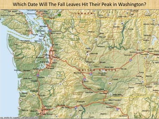 Which Date Will The Fall Leaves Hit Their Peak in Washington?