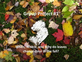 Group Project #1 When, Where, and Why do leaves change color in the fall? 