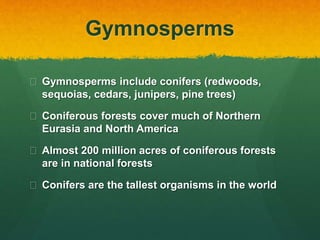 Gymnosperms
 Gymnosperms include conifers (redwoods,
sequoias, cedars, junipers, pine trees)
 Coniferous forests cover much of Northern
Eurasia and North America
 Almost 200 million acres of coniferous forests
are in national forests
 Conifers are the tallest organisms in the world
 