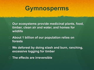 Gymnosperms
 Our ecosystems provide medicinal plants, food,
timber, clean air and water, and homes for
wildlife
 About 1 billion of our population relies on
forests
 We deforest by doing slash and burn, ranching,
excessive logging for timber
 The effects are irreversible
 