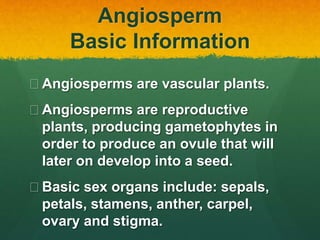 Angiosperm
Basic Information
 Angiosperms are vascular plants.
 Angiosperms are reproductive
plants, producing gametophytes in
order to produce an ovule that will
later on develop into a seed.
 Basic sex organs include: sepals,
petals, stamens, anther, carpel,
ovary and stigma.
 