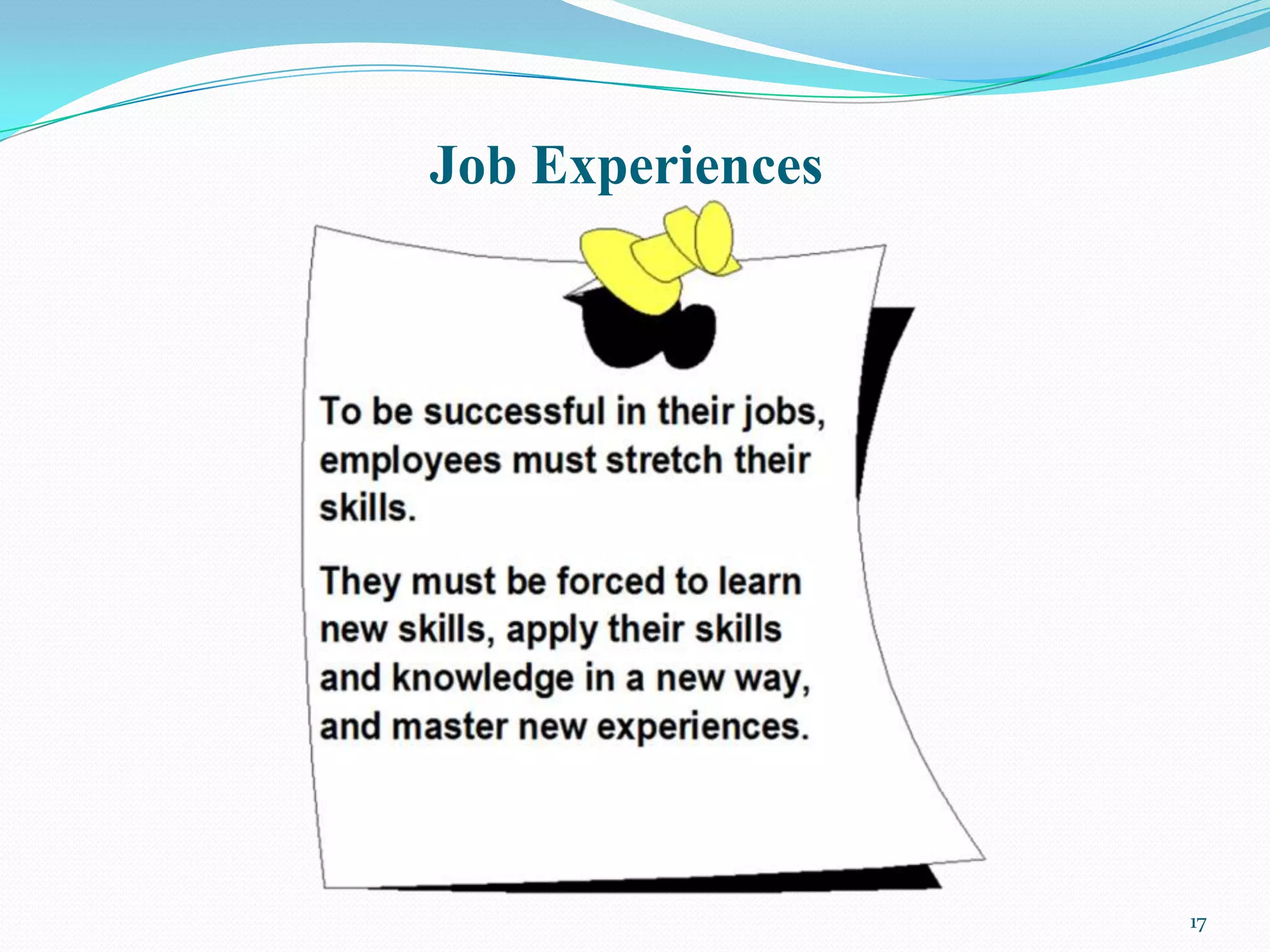 Job Experiences




                  17
 
