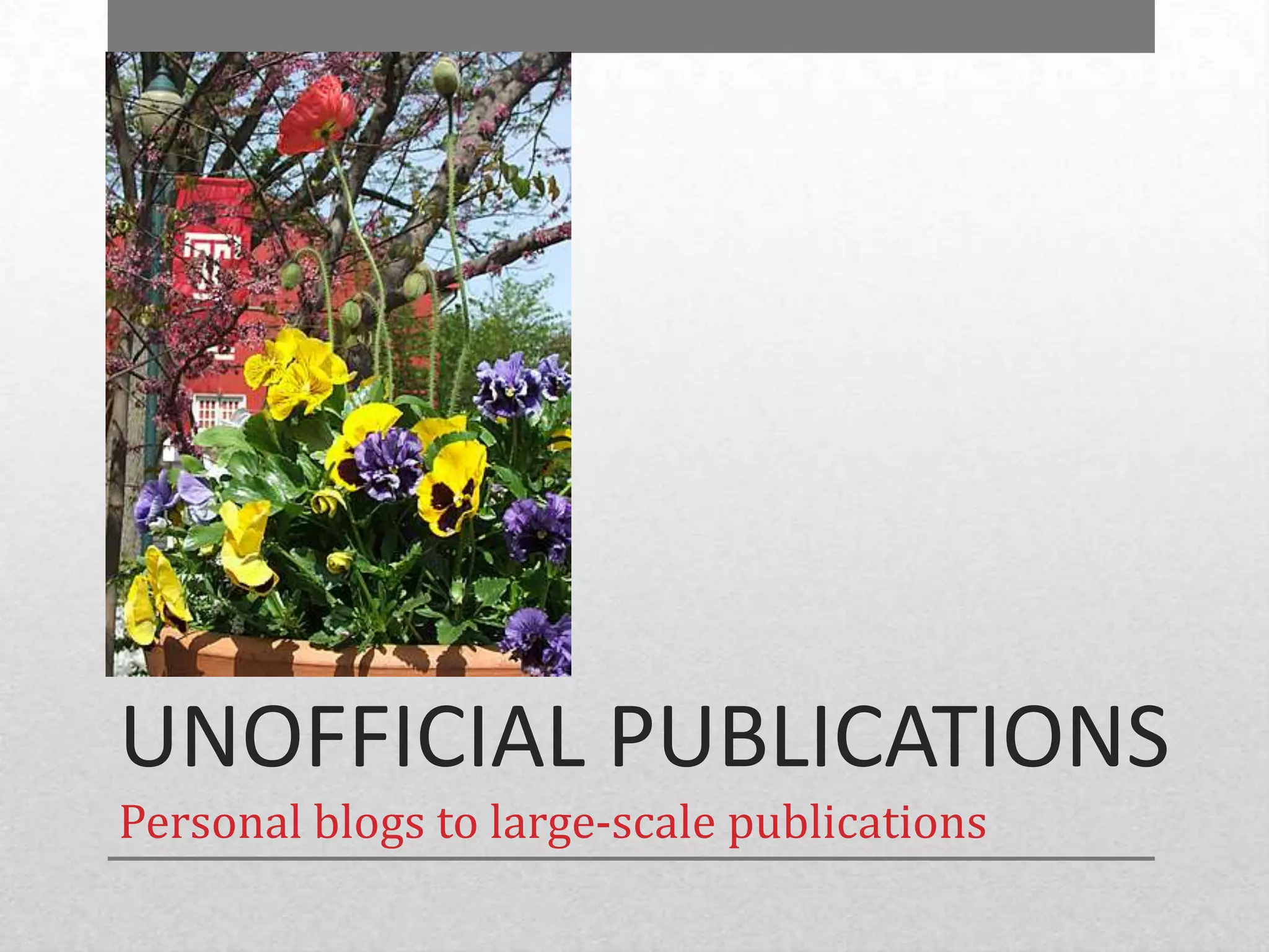 UNOFFICIAL PUBLICATIONS
Personal blogs to large-scale publications
 