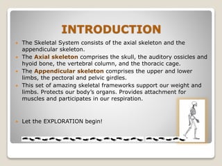 INTRODUCTION
 The Skeletal System consists of the axial skeleton and the
appendicular skeleton.
 The Axial skeleton comprises the skull, the auditory ossicles and
hyoid bone, the vertebral column, and the thoracic cage.
 The Appendicular skeleton comprises the upper and lower
limbs, the pectoral and pelvic girdles.
 This set of amazing skeletal frameworks support our weight and
limbs. Protects our body’s organs. Provides attachment for
muscles and participates in our respiration.
 Let the EXPLORATION begin!
 