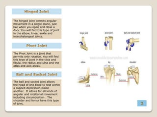 The ball and socket joint allows
the head of one bone to rest within
a cupped depression inside
another. It allows for all kinds of
angular and rotational movement
including circumduction . The
shoulder and femur have this type
of joint.
The hinged joint permits angular
movement in a single plane, just
like when you open and close a
door. You will find this type of joint
in the elbow, knee, ankle and
interphalangeal joints.
The Pivot Joint is a joint that
permits only rotation. You will find
this type of joint in the tibia and
fibula, the radius and ulna and the
atlas and axis areas.
 