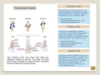 The Synovial joint are ones that allow for
different ranges of motion. The ends of these
joints have cartilage to reduce friction. Synovial
fluid lubricates the synovial joints.
Condylar Joint
This joint has an oval articular face and
has a depression in the opposing surface.
It allows for flexion, extension, abduction
and adduction. You will find it in the:
• radiocarpal joint
• metacarpophalangeal joints -2 &5
• metatarsophalangeal joints
Gliding Joint
This joint has a flattened or slightly
curved face. Flat articular surfaces slide
across one another. The amount of
movement is slight since ligament restrict
some movement. You will find it in the:
• Claviculosternal joint
• Intercarpal & intertarsal joints
• Vetebrocostal joints
• Sacro-iliac joints
Saddle Joint
This joint is named saddle for the way it
fits together like a rider in a saddle. The
articular face is concave alone one axis
and convex along the other. It allows
movement in angular motion or
circumduction. You will find it in the:
• 1st metacarpal joint
 