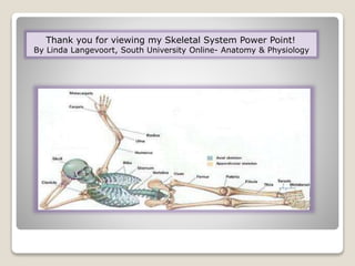 Thank you for viewing my Skeletal System Power Point!
By Linda Langevoort, South University Online- Anatomy & Physiology
 