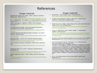 Image material:
 NIH National Institute for Health. (1997). Skull of a newborn:
Medline plus. Retrieved from
http://www.nlm.nih.gov/medlineplus/ency/imagepages/1127.htm
 Mr. T. (2008 2009). The skeleton: An ordered assembly of bones.
Retrieved from http://www.physioweb.org/IMAGES/vertebrae.jpg
 (2005). Rib cage by ~bjjlenore. (2005). [Print Drawing].
Retrieved from http://bjjlenore.deviantart.com/art/Rib-Cage-
25700910
 The North Shore Institute. (2011).Neurologicalorthopaedic
rehabilitation total health. Retrieved from
http://northinstitute.com/specialties/common-causes-of-back-
pain.php
 Certificate Biology New Mastering Basic Concepts. (n.d.).Axial
skeleton. Retrieved from
http://sciencecity.oupchina.com.hk/biology/student/glossary/axia
l_skeleton.asp
 Krimando, PhD, J. (2011). Mrs. herndon classroom pages.
Retrieved from http://web.jc-schools.net/herndona/human-
anatomy-physiology/5-the-skeletal-system/
 The university of southern mississippi. (1995-2010). Retrieved
from
http://www.usm.edu/biology/biologylabs/bsc_250_lab/arm.htm
 Fankhauser PhD, D. B. (2011). Features of selected bones.
Retrieved from
http://biology.clc.uc.edu/fankhauser/Labs/Anatomy_&_Physiolog
y/A&P201/Skeletal/selected_bones/Bone_Features.html
 KidPort Reference Library. (1998). Radius and ulna. Retrieved
from
http://www.kidport.com/reflib/science/HumanBody/SkeletalSyste
m/RadiusUlna.htm
References
Image material:
 Dreamstime - stock images. (2011). Retrieved from
http://www.dreamstime.com/hand-bones-image9845504
 Fennell, PhD. (Performer). (2011). About.com - carpel tunnel
syndrome. [Web Video]. Retrieved from
http://www.youtube.com/watch?v=sXs6SCGGm1Q
 Health Hype.com. (2006). Painful finger joints, pain and arthritis and
causes by dr. chris. Retrieved from
http://www.healthhype.com/painful-finger-joints-knuckles-pain-or-
arthritis-and-causes.html
 Liang, B. (1999-2011). Wisc- online, chapter 5 - appendicular
skeleton. Retrieved from
http://virtual.yosemite.cc.ca.us/rdroual/Course Materials/Elementary
Anatomy and Physiology 50/Lecture outlines/appendicular_skeleton
with figures.htm
 Schleese the felmale saddle specialist,who's built best to ride. (2010).
Retrieved from http://www.schleese.com/maleandfemaleanatomy
 The encyclopedia of science - the pelvis. (n.d.). Retrieved from
http://www.google.com/imgres?q=The
Pelvis&hl=en&sa=X&biw=1280&bih=866&tbm=isch&prmd=imvns&tb
nid=eCX7_Ov_HiF3BM:&imgrefurl=http://www.daviddarling.info/ency
clopedia/P/pelvis.html&docid=yg_Ptm8KkEP78M&imgurl=http://www.
daviddarling.info/images/pelvis.jpg&w=400&h=216&ei=ydjbTrXNDMn
b0QHHuIyLDg&zoom=1&iact=hc&vpx=168&vpy=287&dur=1315&hov
h=165&hovw=306&tx=196&ty=129&sig=114612619189902481046
&page=1&tbnh=109&tbnw=201&start=0&ndsp=20&ved=1t:429,r:5,
s:0
 (n.d.). Csl- cartoon stock, elvis the pelvis gifts. [Web Photo].
Retrieved from
http://www.cartoonstock.com/directory/e/elvis_the_pelvis_gifts.asp
 