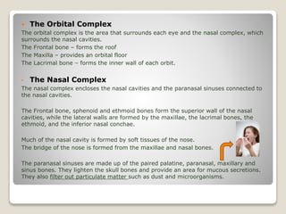  The Orbital Complex
The orbital complex is the area that surrounds each eye and the nasal complex, which
surrounds the nasal cavities.
The Frontal bone – forms the roof
The Maxilla – provides an orbital floor
The Lacrimal bone – forms the inner wall of each orbit.
• The Nasal Complex
The nasal complex encloses the nasal cavities and the paranasal sinuses connected to
the nasal cavities.
The Frontal bone, sphenoid and ethmoid bones form the superior wall of the nasal
cavities, while the lateral walls are formed by the maxillae, the lacrimal bones, the
ethmoid, and the inferior nasal conchae.
Much of the nasal cavity is formed by soft tissues of the nose.
The bridge of the nose is formed from the maxillae and nasal bones.
The paranasal sinuses are made up of the paired palatine, paranasal, maxillary and
sinus bones. They lighten the skull bones and provide an area for mucous secretions.
They also filter out particulate matter such as dust and microorganisms.
 