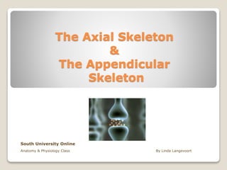 The Axial Skeleton
&
The Appendicular
Skeleton
South University Online
Anatomy & Physiology Class By Linda Langevoort
 
