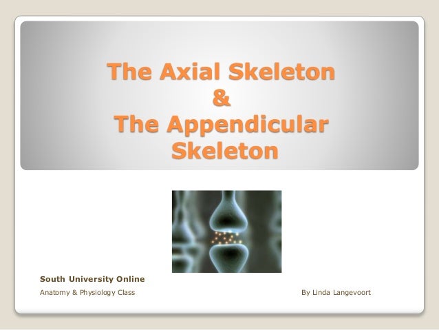 The Axial Skeleton Appendicular Skeleton
