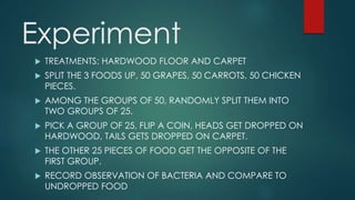 Experiment 
 TREATMENTS: HARDWOOD FLOOR AND CARPET 
 SPLIT THE 3 FOODS UP, 50 GRAPES, 50 CARROTS, 50 CHICKEN 
PIECES. 
 AMONG THE GROUPS OF 50, RANDOMLY SPLIT THEM INTO 
TWO GROUPS OF 25. 
 PICK A GROUP OF 25, FLIP A COIN, HEADS GET DROPPED ON 
HARDWOOD, TAILS GETS DROPPED ON CARPET. 
 THE OTHER 25 PIECES OF FOOD GET THE OPPOSITE OF THE 
FIRST GROUP. 
 RECORD OBSERVATION OF BACTERIA AND COMPARE TO 
UNDROPPED FOOD 
 