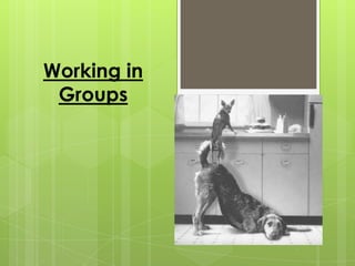 Working in Groups 