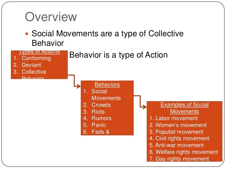Groups and Social Movements
