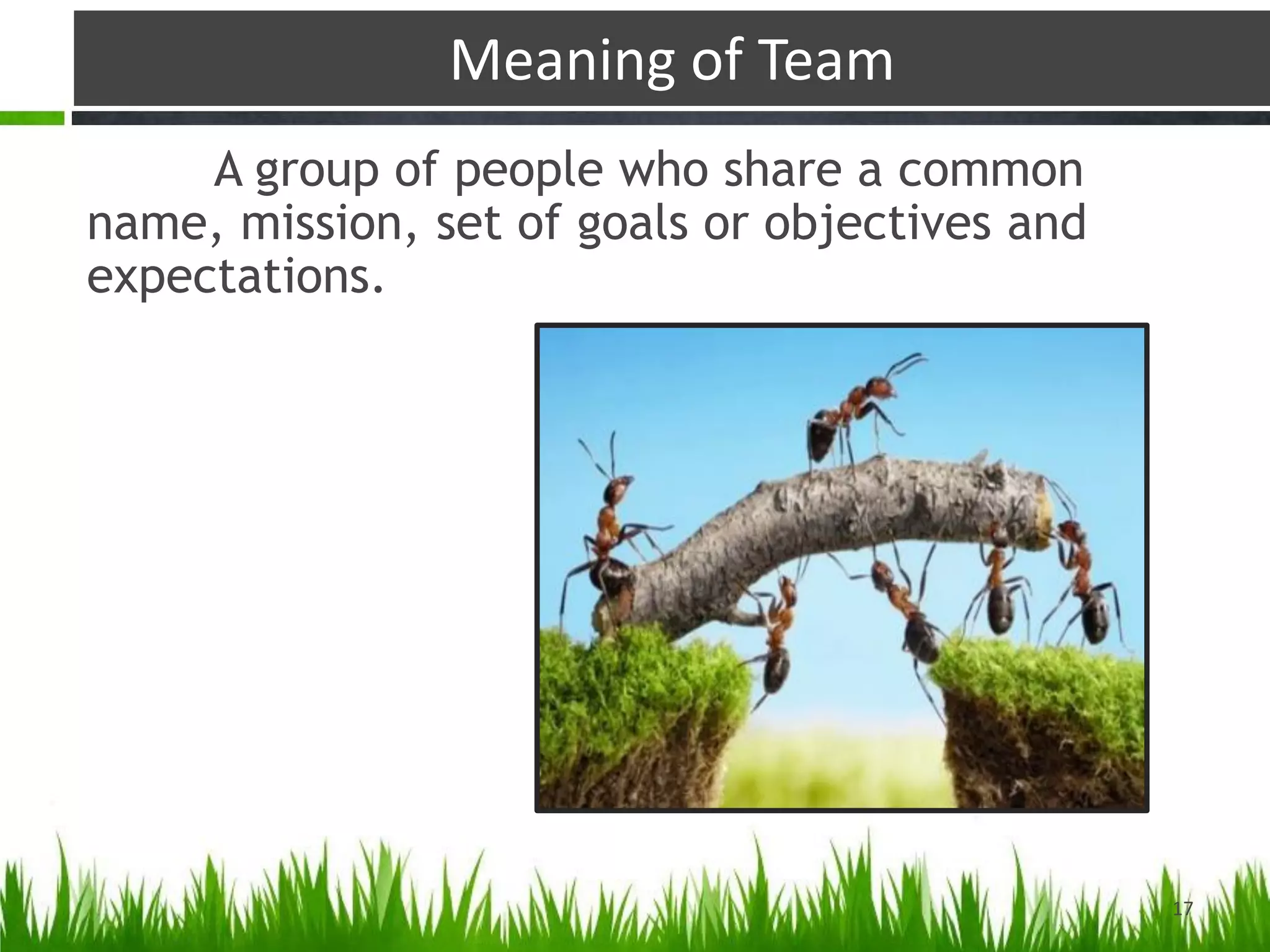 Meaning of Team
A group of people who share a common
name, mission, set of goals or objectives and
expectations.
17
 