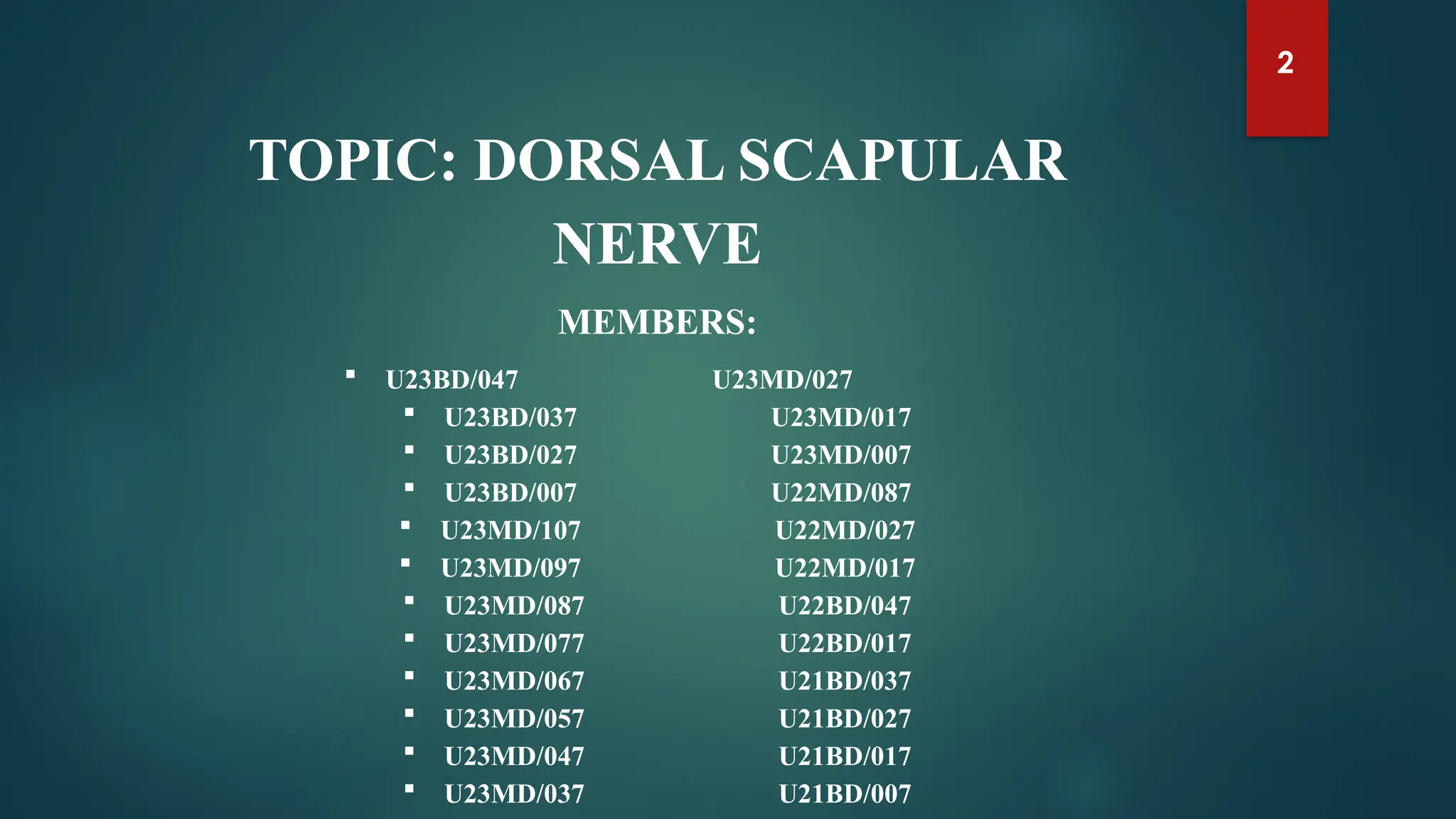 Pathway Of The Dorsal Scapular Nerve Download Scientific Diagram