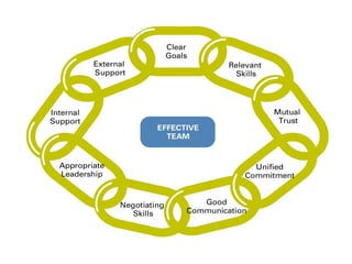 Characteristics of Effective Teams
 
