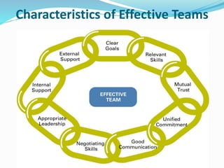Characteristics of Effective Teams
 