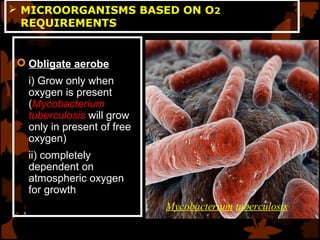 Groups of microorganisms | PPT