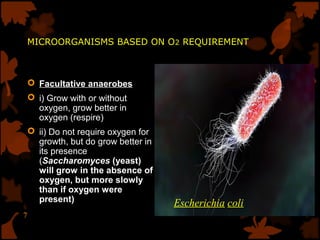 Groups of microorganisms | PPT