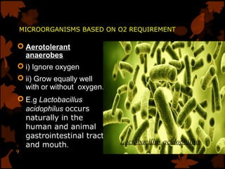 Groups of microorganisms | PPT