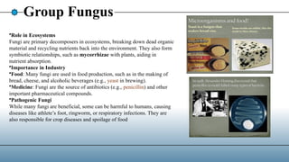 Group Fungus
•Role in Ecosystems
Fungi are primary decomposers in ecosystems, breaking down dead organic
material and recycling nutrients back into the environment. They also form
symbiotic relationships, such as mycorrhizae with plants, aiding in
nutrient absorption.
•Importance in Industry
•Food: Many fungi are used in food production, such as in the making of
bread, cheese, and alcoholic beverages (e.g., yeast in brewing).
•Medicine: Fungi are the source of antibiotics (e.g., penicillin) and other
important pharmaceutical compounds.
•Pathogenic Fungi
While many fungi are beneficial, some can be harmful to humans, causing
diseases like athlete’s foot, ringworm, or respiratory infections. They are
also responsible for crop diseases and spoilage of food
 