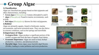 Group Algae
1.Classification
Algae are classified into groups based on their pigments and
other characteristics, including:
• Green algae (Chlorophyta): Contain chlorophyll a and b.
• algae (Phaeophyta): Found in marine environments, such
as kelp.
• Red algae (Rhodophyta): Known for their red pigments.
2.Habitat
Algae are primarily aquatic, found in freshwater, marine
environments, and moist terrestrial areas. They can also thrive
in extreme conditions, such as hot springs and snowfields
3.Importance of Algae
• Ecological Role: Algae produce a significant portion of the
world’s oxygen and form the base of aquatic food chains.
• Economic Importance: Algae are used in food, biofuel
production, cosmetics, and pharmaceuticals.
• Harmful Algae: Some algae cause harmful algal blooms
(HABs), leading to water pollution and toxin production.
 