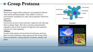 Group Protozoa
•Definition
Protozoa are single-celled, eukaryotic microorganisms that are
often motile and heterotrophic. They inhabit a variety of
environments, including soil, water, and as parasites within host
organisms.
•Structure
Protozoa are diverse in form and lack a rigid cell wall, allowing
them to change shape. They have a nucleus and specialized
organelles such as food vacuoles for digestion and contractile
vacuoles for water regulation.
•Habitat
Found in both aquatic and terrestrial environments, protozoa
thrive in moist conditions. Some species are free-living, while
others are parasitic, causing diseases in humans, animals, and
plants.
 