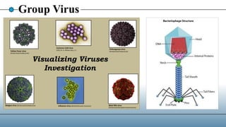 Group Virus
 