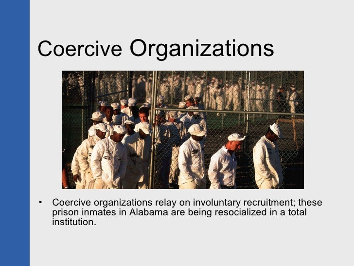 Groups & Organizations
