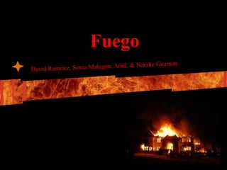 Fuego
David Ramirez, Sonia Malagon, Ariel, & Natalie Guzman
 