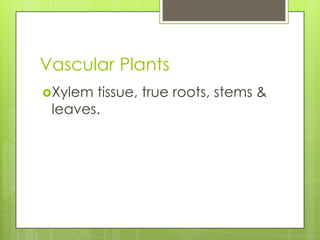 Vascular Plants
Xylem tissue, true roots, stems &
 leaves.
 