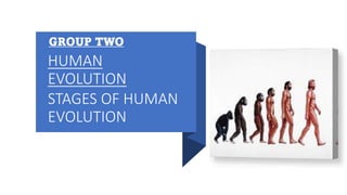 HUMAN
EVOLUTION
STAGES OF HUMAN
EVOLUTION
GROUP TWO
 