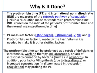 Group v hemorrhagic diseases | PPT