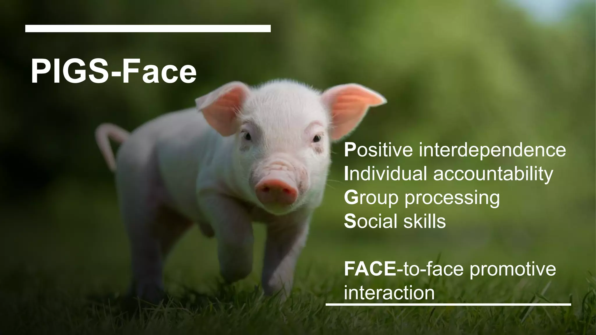 PIGS-Face
Positive interdependence
Individual accountability
Group processing
Social skills
FACE-to-face promotive
interaction
 