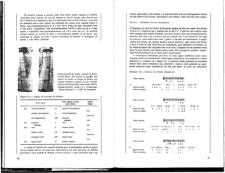 Foi possível analisar a estrutura tonal desta breve canção segundo os critérios
explanados pelos teóricos. No que diz respeito ao etos da canção, pode dizer-se que
não é eufórico nem depressivo, mas sim equilibrado entre os dois extremos, o que está
em harmonia com o tonos jónico. Na ordenação dos quinze tonoi segundo Alípio, o
jónico, com proslambanomenos em Si e mese em si, ocupa um lugar intermédio entre
o mais grave, o hipodórico, com proslambanomenos em Fá e mese em fá, e o mais
agudo, o hiperlídio, com proslambanomenos em sol e mese em sol'. As terceiras
maiores dariam ao ouvinte de hoje, e provavelmente também ao da época, uma
impressão de alegria, tal como a quinta ascendente de abertura. A mensagem do
poema é, com efeito, optimista.
.•-.vj-o-v:
£sre/a funerária de Aidine, próximo de Traies,
na Asia Menor. Tem inscrito um epitafio, uma
espécie de escolio ou canção de bebida, com
notação melódica e rítmica; o autor é identifi-
cado nas primeiras linhas como sendo Seikilos.
Datação provável: século 1 d. C. (Copenhaga,
Museu Nacional, n.° 14 897 de inventário)
Figura 1.1 — Análise da inscrição de Seikilos
Nomes téticos
Nome segundo a função Espéde
Nomes téticos
(tonos iástico) (frigia)
fixo nete diezeugmenon mi' paranete diezeugmenon
tom
paranete diezeugmenon ré trite diezeugmenon
meio-tom
trite diezeugmenon dó# paramese
disjunção tom
fixo paramese
disjunção
si mese
tom
fixo mese lá lichanos meson
tom
lidíanos meson sol parhypate meson
meio-tom
* parhypate meson fá# hypate meson
tom
fixo hypate meson mi lichanos hypaton
A canção de Seikilos teve especial interesse para os historiadores devido à clareza
da sua notação rítmica. As notas sem sinais rítmicos por cima das letras do alfabeto
eqüivalem a uma unidade de duração (chronos protos); o traço horizontal indica um
30
diseme, equivalente a dois tempos, e o sinal horizontal com um prolongamento vertical
do lado direito é um triseme, equivalente a três tempos. Cada verso tem doze tempos.
NAWM 1 — EURIPIDES, Orestes (FRAGMENTO)
O fragmento do coro do Orestes de Eurípides chegou até nós num papiro dos séculos
m ou it a. C. Calcula-se que a tragédia seja de 408 a. C. É possível que a música tenha
sido composta pelo próprio Eurípides, que ficou famoso pelos seus acompanhamentos
musicais. Este coro é um stasimon, uma ode cantada com o coro imóvel no seu lugar
na orquestra, zona semicircular entre o palco e a bancada dos espectadores. O papiro
contém sete versos com notação musical, mas só subsistiu a parte central dos versos;
o início e o fim de cada verso vêm, por conseguinte, entre parênteses no exemplo 1.6.
Os versos do papiro não coincidem com os do texto. Chegaram até nós quarenta e duas
notas da peça musical, mas faltam muitas outras. Por conseguinte, qualquer interpre-
tação terá forçosamente de se basear numa reconstítuição.
A transcrição é dificultada pelo facto de certos signos alfabéticos serem vocais
enquanto outros são instrumentais, sendo alguns enarmónicos (ou cromáticos) e outros
diatónicos (v. exemplo 1.6 e figura 1.2). A presente criação apresenta os intervalos
densos como sendo cromáticos, mas, alterando o «matiz», estes poderiam ser igual-
mente transcritos como enarmónicos do tipo mais denso. As notas que subsistiram
Exemplo 1.6—Stasimon do Orestes (fragmento)
Notas musicais
Ritmo do texto
Ritmo da música
HaToAotp] ú -
D B 8 D
L L
F P C
POUO.L
B L
B L
P * TT
ua.tipos
D B B
B B B
[auna oãc
L D D
Notas musicais
Ritmo do texto
Ritmo da música
m- i z E
õ o' àunBctl HXEÚEL "L ò uÉvac.
B D D L L L I B B D
L L L I B B B
[oABos.où
L B L
Notas musicais j*
IT P C i Z
3. PÓVLUOIS Éu BpoTOÛs "1 ávã [61 XaCtpos
Ritmo do texto B D B L l(B7)l B L I D D B L B .
Ritmo da música L B L I B B
Notas musicais
Ritmo do texto
Ritmo da música
Tu] S C
t
M
C
Í
T
O
U
D D D L
B B L
C PTT C P -Lp C
9oãs
BL I
TLVÓ[£a£
D L L
B L
õaúutdv
L L
31
 