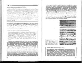 ANÓNIMO IV COMPARA AS REALIZAÇÕES DE LÉONIN E PÉROTIN
E notai que mestre Léonin, conforme aquilo que ficou dito, foi o melhor compositor de organa,
que fez o grande livro do organum a partir do gradual edo antifonario por forma a embelezar
o serviço divino. E este livro foi usado até ao tempo do grande Pérotin, que o refundiu e
escreveu muitas cláusulas, ou puncta, pois ele era o melhor compositor de descante, melhor
ainda do que Léonin. Já o mesmo não diremos quanto à subtileza do organum, etc.
Mas o mesmo mestre Pérotin fez excelentes quadrupla, como Viderunt e Sederunt, com
grande abundância de cores da arte harmônica, e também vários e mui nobres tripla, como
Alleluia posui adiutorium, Nativitas, etc. Compôs também conductus a três vozes, como
Salvatoris hodie, e conductus a duas vozes, como Dum sigillum surnmi patris, e até conductus
monofónicos [simplices conductus] com vários outros, como Beata viscera, etc.
Jeremy Yudkin, The Music Treatise of Anonymous IV: a New Translation, MSD, 41, Neuhausen-Sruttgart, AIM/
HSnssler-Verlag, 1985, p. 39.
que o compositor desejava. Ambos estes tipos de repetição — dos motivos rítmicos
e da melodia— faziam também parte da estrutura formal do motete de finais do
século xm. Os n.o s
7 e 8 do exemplo 3.9, onde ò tenor se desenvolve em unidades
rítmicas idênticas, prenunciam, com efeito, a técnica do motete isorrítmico do século
xiv, que estudaremos no próximo capítulo.
NAWM 16D — PÉROTIN <?>, CLÁUSULA DE SUBSTITUIÇÃO EM nostrum
Uma cláusula de substituição, talvez composta por Pérotin, é a que encontramos no
manuscrito de Florença para o melisma em nostrum ( N A W M 16d). O compositor
inverteu a ordem dos dois elementos da unidade rítmica (convertendo J. J. }• J. J. I-
em J. J. J. í- J. J. }•) e na voz mais aguda adoptou o terceiro modo rítmico em vez do
primeiro. Tal como na cláusula original, a melodia do tenor repete-se duas vozes
(v. exemplo 3.8, no qual essas duas vozes aparecem indicadas pelos números I e n),
mas na cláusula de substituição a repetição não começa na primeira nota da unidade
rítmica.
Uma importante inovação introduzida por Pérotin e pelos seus contemporâneos
foi a expansão do organum de duas vozes para três ou quatro. Uma vez que à segunda
voz se chamava o duplum, a terceira e a quarta, por analogia, foram designadas,
respectivamente, por triplum e quadruplum. Estes mesmos termos designavam tam-
bém a composição no seu conjunto; um organum a três vozes era chamado um
organum triplum, ou simplesmente um triplum, e um organum a quatro vozes um
quadruplum. O organum a três vozes, ou triplum, tornou-se comum na época de
Pérotin e confinou a ser cultivado durante muito tempo; encontram-se alguns exem-
plos de organa deste tipo em manuscritos da segunda metade do século xm. Num
organum triplum relativamente longo estão, geralmente, presentes dois estilos distin-
tos, quer combinados, quer alternados. A maioria dos tripla começam com as longas
notas do cantochão no tenor, movendo-se as duas outras vozes mais acima em frases
medidas. Este estilo assemelha-se ao dos trechos de notas sustentadas do organum de
Léonin, ou seja, de organum purum, mas partilha a precisão rítmica do descante nas
110
vozes mais agudas. Johannes de Garlandia, que escreveu um tratado sobre o ritmo do
organum de Notre Dame, De mensurabili musica, reconhecia esse estilo intermédio,
a que chamava copula; a copula organiza-se, tal como o descante, em ritmo modal
na voz ou vozes superiores, mas, tal como o organum purum, tinha notas longas na
voz inferior. Este autor apontou ainda uma outra importante característica da copula,
ou seja, que a música tendia a organizar-se em frases antecedentes e conseqüentes.
Num organum típico de Pérotin, a uma parte inicial de organum purum seguir-
-se-á uma ou mais partes de descante, nas quais o tenor é também mensurai, embora
não evolua tão rapidamente como as vozes mais agudas. À medida que a composição
avança, as secções baseadas em notas sustentadas entrelaçam-se e alternam com
secções em estilo de descante; estas últimas, regra geral, correspondem às partes
melismáticas do cantochão original, enquanto as secções baseadas em notas susten-
tadas correspondem às partes mais silábicas do cantochão.
Página do organum quadruplum de Pé-
rotin Sederunt principes, na versão de
Florença (Biblioteca Medicea-Lauren-
ziana, ms. Pluteus, 29.1, fl. 6.). As três
vozes superiores são em ritmo modal,
sobre uma nota sustentada no tenor
NAWM 17 — PÉROTIN, ORGANUM QUADRUPLUM: Sederunt
Esta é a música para a entoação, ou primeira palavra, do responso do gradual para o
dia de Santo Estêvão. Faz parte de uma longa composição cuja execução devia durar
cerca de vinte minutos. Uma vez que o texto não proporcionava ao compositor um
meio de organizar a música, este recorreu a processos abstractos, puramente musicais.
Um desses processos é a troca de vozes. Dos compassos 13 a 18 o duplum e o triplum
trocam entre si motivos de dois compassos, de forma que as vozes mais graves
repetem o mesmo motivo três vezes, como um ostinato. Nos compassos 24 a 29 dá-
111
 