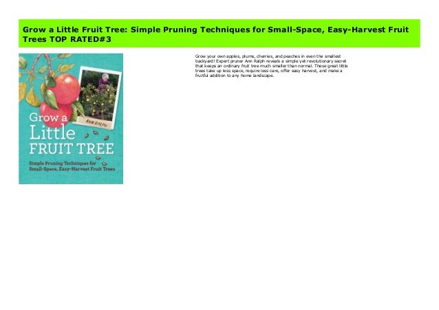 Grow A Little Fruit Tree Simple Pruning Techniques For Small Space
