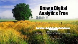 Grow a Digital
Analytics Tree
How to Use a Website Tracking Tool to Improve
Fundraising
March 4, 2pm
Chronicle of Philanthropy Google Hangout
Sara Hoffman | World Wildlife Fund
Picture: F6601ltif | djandywdotcom |Creative Commons
 