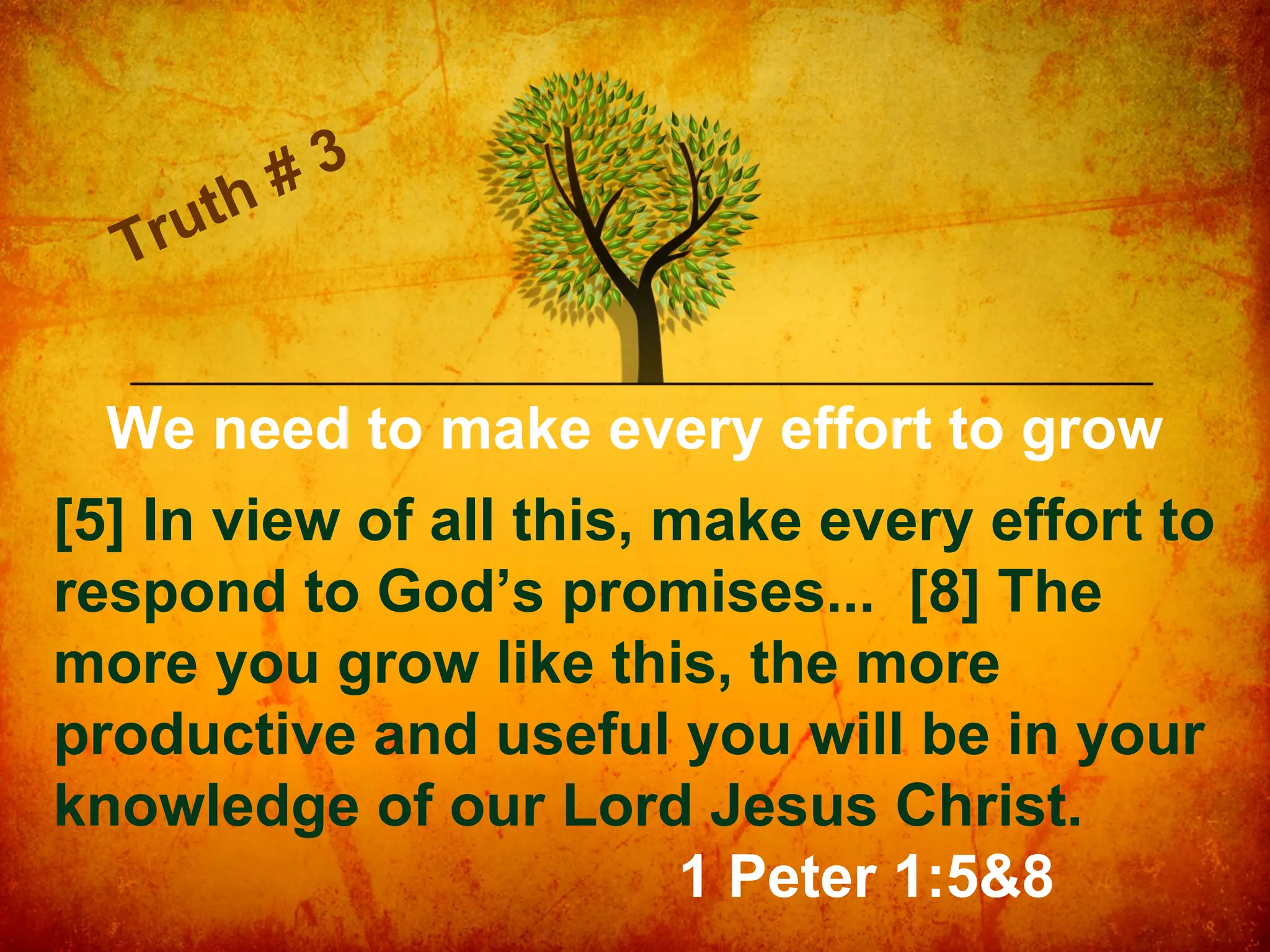 th
ru
T

3
#

We need to make every effort to grow
[5] In view of all this, make every effort to
respond to God’s promises... [8] The
more you grow like this, the more
productive and useful you will be in your
knowledge of our Lord Jesus Christ.
1 Peter 1:5&8

 