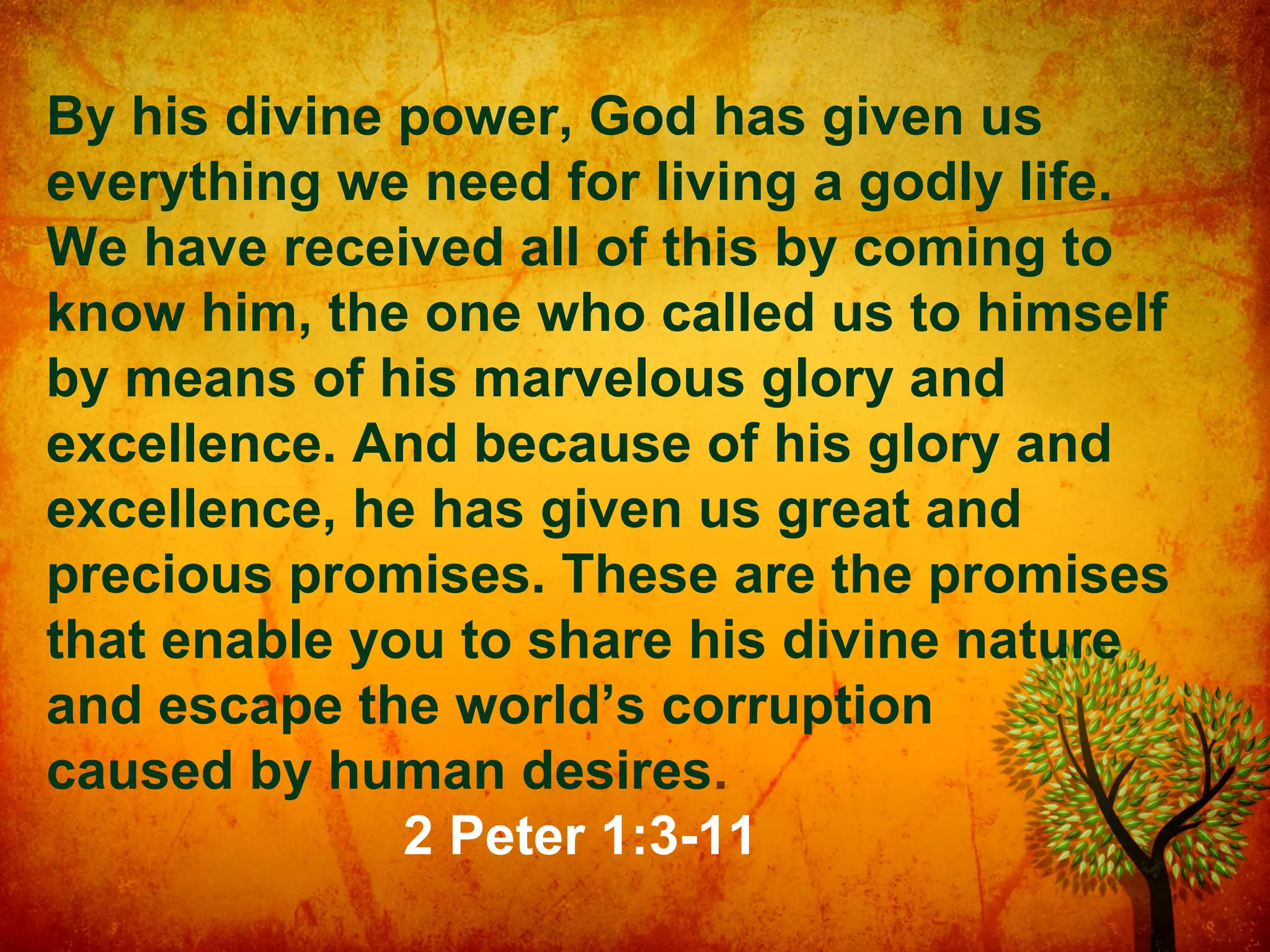 By his divine power, God has given us
everything we need for living a godly life.
We have received all of this by coming to
know him, the one who called us to himself
by means of his marvelous glory and
excellence. And because of his glory and
excellence, he has given us great and
precious promises. These are the promises
that enable you to share his divine nature
and escape the world’s corruption
caused by human desires.
2 Peter 1:3-11

 
