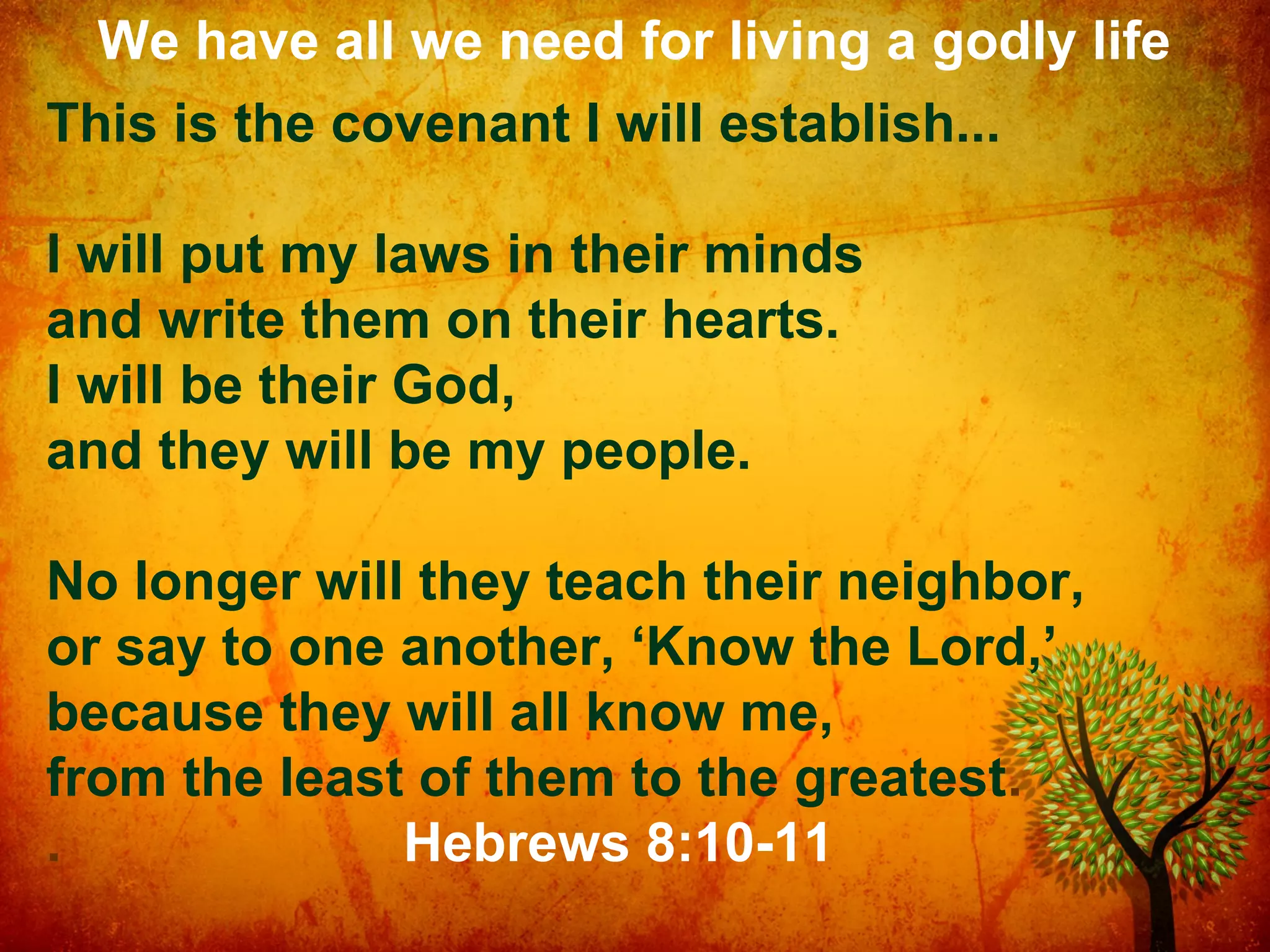 We have all we need for living a godly life
This is the covenant I will establish...
I will put my laws in their minds
and write them on their hearts.
I will be their God,
and they will be my people.
No longer will they teach their neighbor,
or say to one another, ‘Know the Lord,’
because they will all know me,
from the least of them to the greatest.
.
Hebrews 8:10-11

 