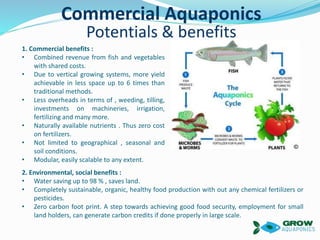 Commercial Aquaponics
Potentials & benefits
1. Commercial benefits :
• Combined revenue from fish and vegetables
with shared costs.
• Due to vertical growing systems, more yield
achievable in less space up to 6 times than
traditional methods.
• Less overheads in terms of , weeding, tilling,
investments on machineries, irrigation,
fertilizing and many more.
• Naturally available nutrients . Thus zero cost
on fertilizers.
• Not limited to geographical , seasonal and
soil conditions.
• Modular, easily scalable to any extent.
2. Environmental, social benefits :
• Water saving up to 98 % , saves land.
• Completely sustainable, organic, healthy food production with out any chemical fertilizers or
pesticides.
• Zero carbon foot print. A step towards achieving good food security, employment for small
land holders, can generate carbon credits if done properly in large scale.
 