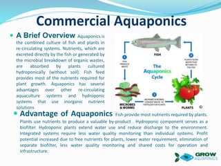 Commercial Aquaponics
 A Brief Overview Aquaponics is
the combined culture of fish and plants in
re-circulating systems. Nutrients, which are
excreted directly by the fish or generated by
the microbial breakdown of organic wastes,
are absorbed by plants cultured
hydroponically (without soil). Fish feed
provides most of the nutrients required for
plant growth. Aquaponics has several
advantages over other re-circulating
aquaculture systems and hydroponic
systems that use inorganic nutrient
solutions
 Advantage of Aquaponics Fish provide most nutrients required by plants.
Plants use nutrients to produce a valuable by-product . Hydroponic component serves as a
biofilter. Hydroponic plants extend water use and reduce discharge to the environment.
Integrated systems require less water quality monitoring than individual systems. Profit
potential increased due to free nutrients for plants, lower water requirement, elimination of
separate biofilter, less water quality monitoring and shared costs for operation and
infrastructure.
 