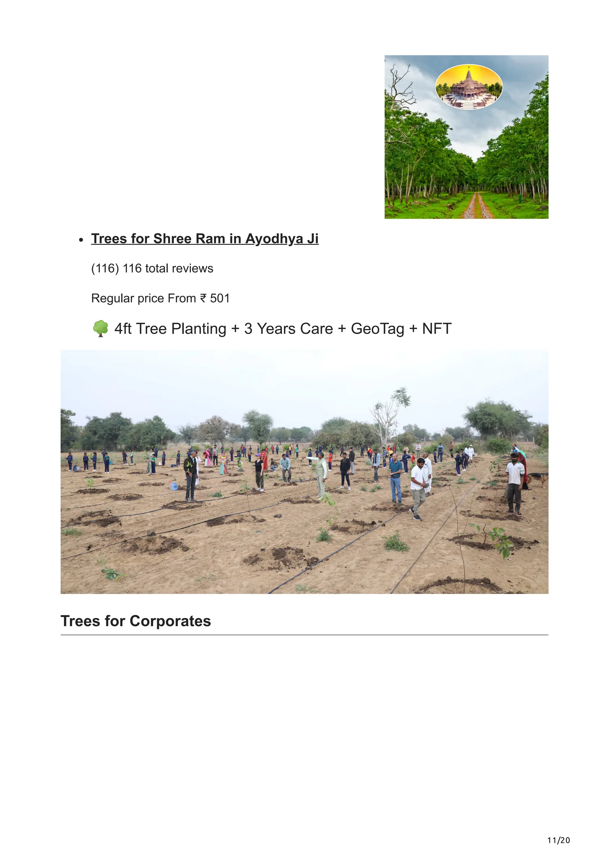 11/20
Trees for Shree Ram in Ayodhya Ji
(116) 116 total reviews
Regular price From ₹ 501
🌳4ft Tree Planting + 3 Years Care + GeoTag + NFT
Trees for Corporates
 