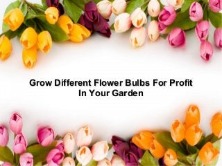 Grow Different Flower Bulbs For Profit
In Your Garden

 