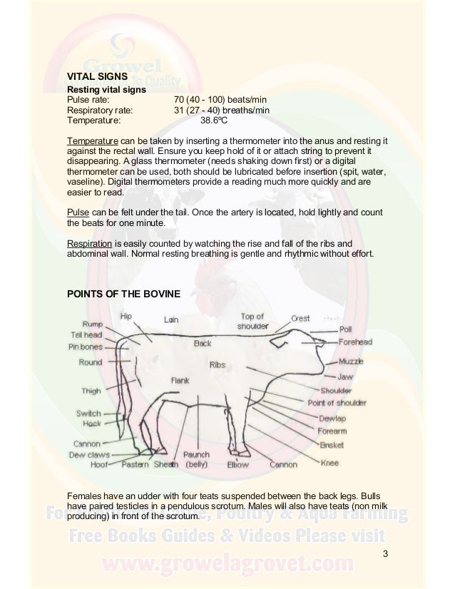 Growel Cattle Farming Manual