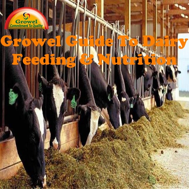 Growel Guide to Dairy Cattle Feeding & Nutrition