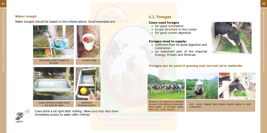 Growel Guide to Dairy Cattle Feeding & Nutrition