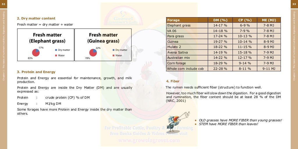 Growel Guide to Dairy Cattle Feeding & Nutrition